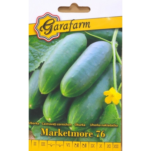 Garafarm Marketmore 76 salátauborka