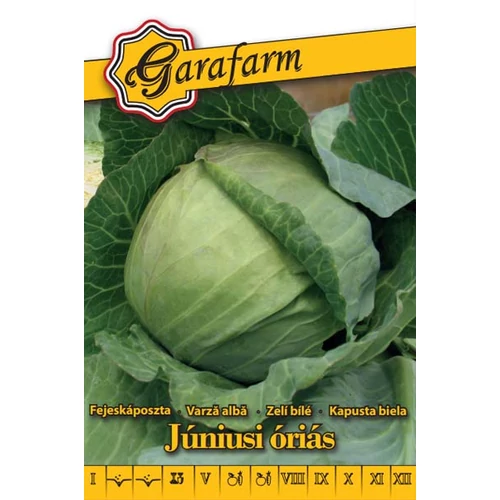 Garafarm Júniusi óriás fejeskáposzta