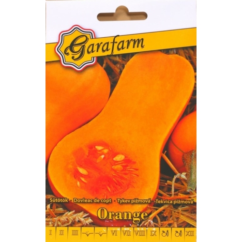 Garafarm Orange sütőtök