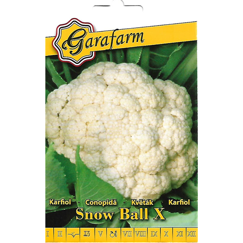 Garafarm Snow ball X karfiol