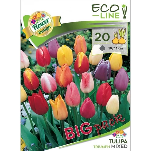 Triumph tulipán mix 20 db - színkeverék