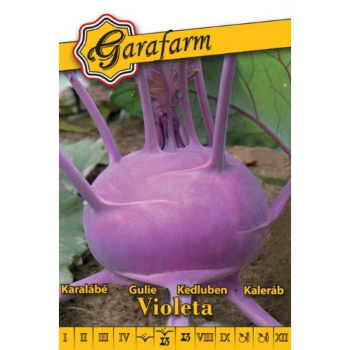 Garafarm zöldség karalábé Violetta 1g